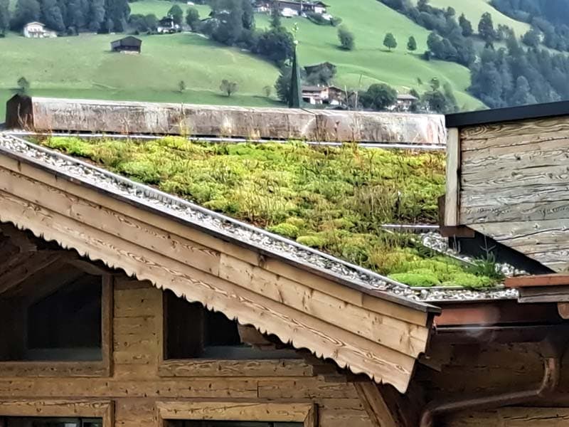 Schatzerhof Chalets Kirchberg i. Tirol - Kirchberg i. Tirol